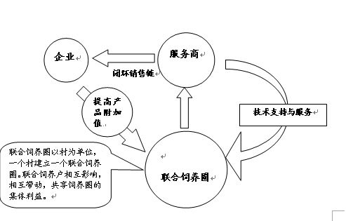 “油多多”飼料新品上市推廣方案 以“喂豬加油”引爆市場奇跡